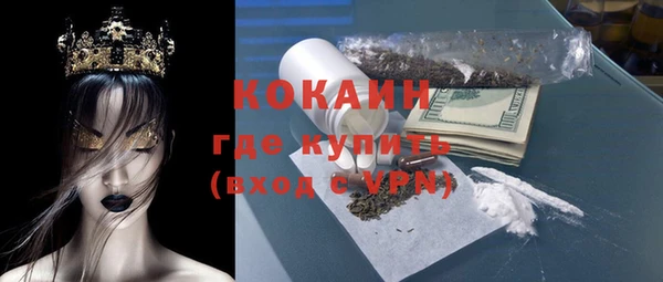 стаф Алексин