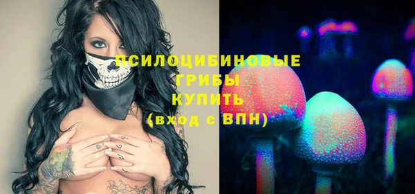 стафф Аша